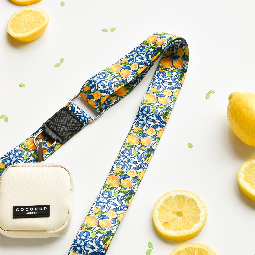 Dog Walking Bag Bundle - Amalfi Lemon