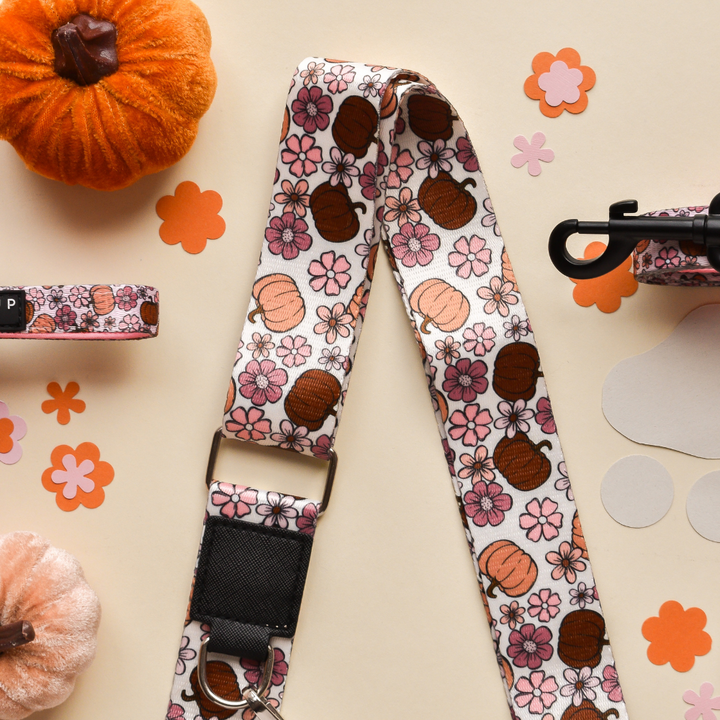 Dog Walking Caramel Latte Bag Bundle - Pumpkin Meadow