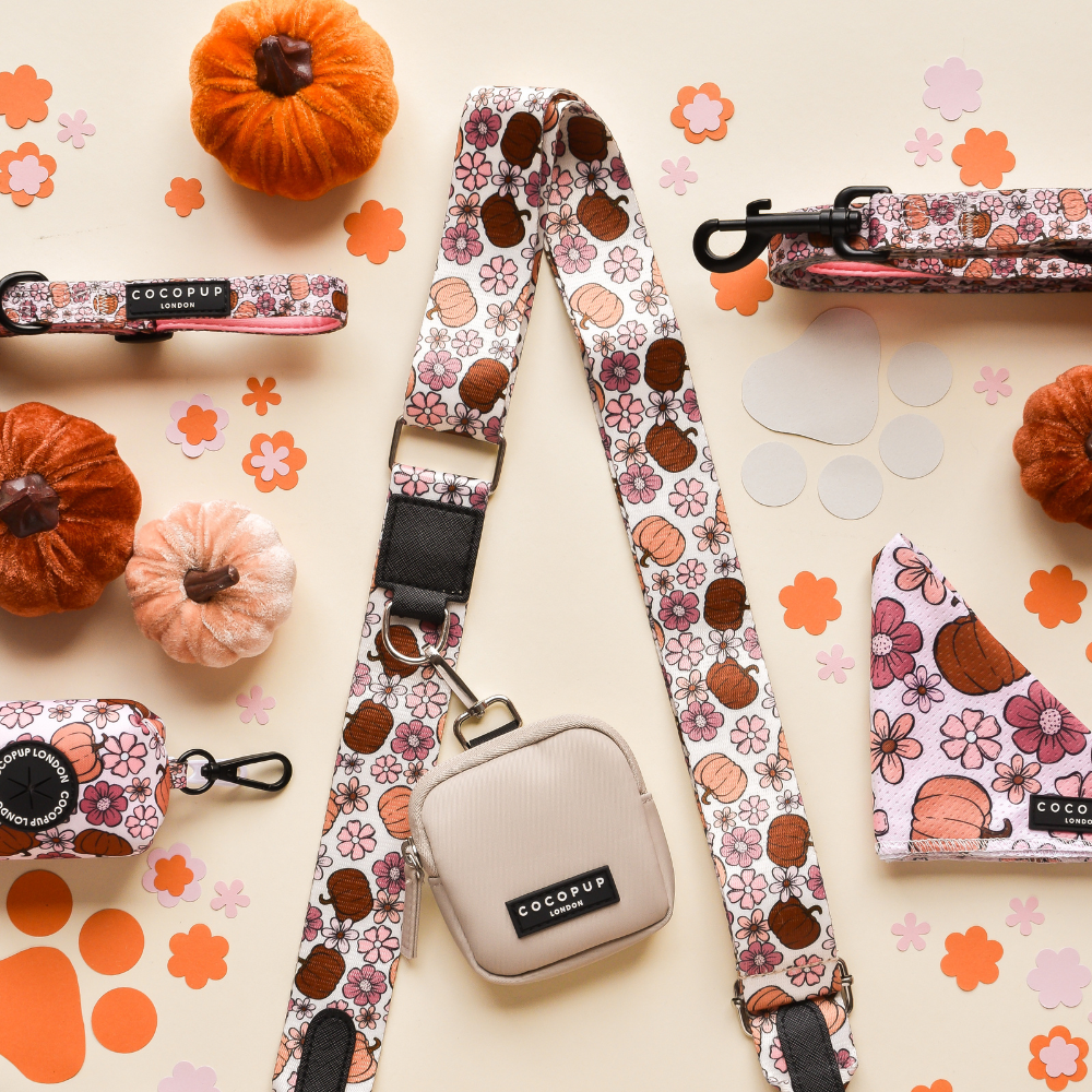 Dog Walking Caramel Latte Bag Bundle - Pumpkin Meadow